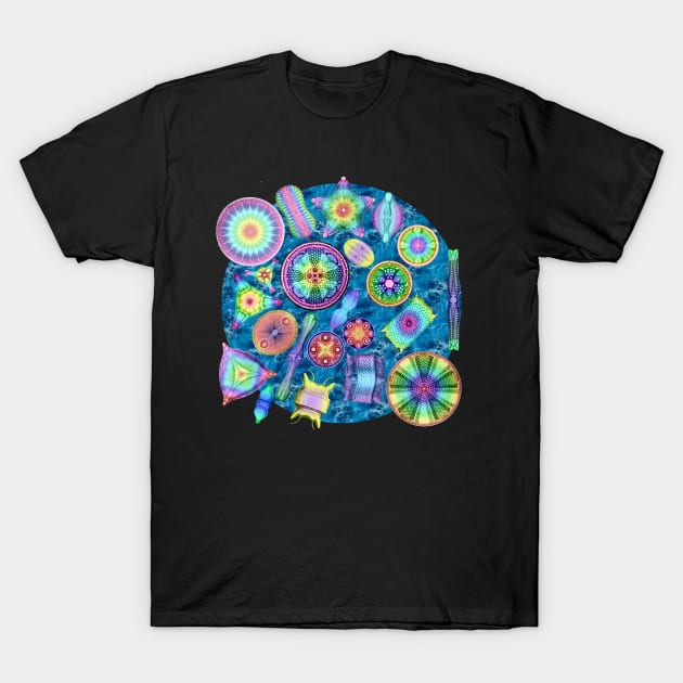 Ernst Haeckel Rainbow Diatoms over Water T-Shirt by Scientistudio